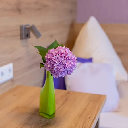 ホテル Reinhardtshof Garni Wolfschlugen