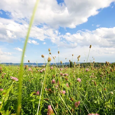 Reinhardtshof Garni ホテル