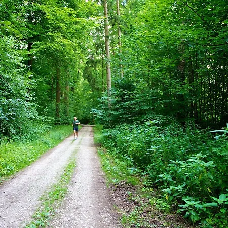 Reinhardtshof Garni 3* Wolfschlugen