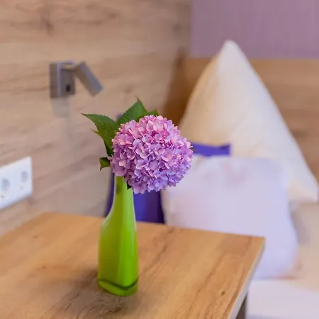 Reinhardtshof Garni 3* Wolfschlugen