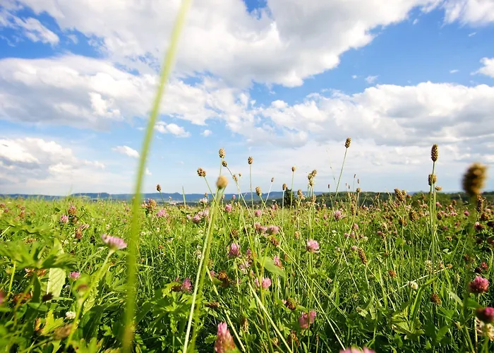 Reinhardtshof Garni Hotel
