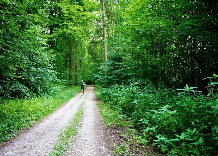 Reinhardtshof Garni 3* Wolfschlugen