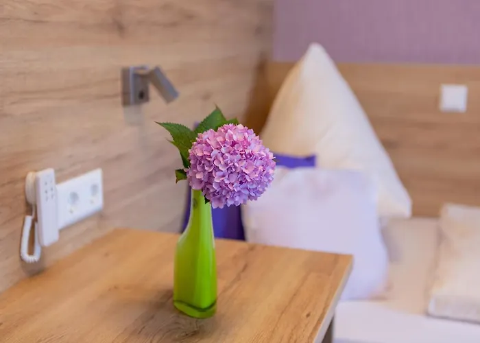 Reinhardtshof Garni 3* Wolfschlugen